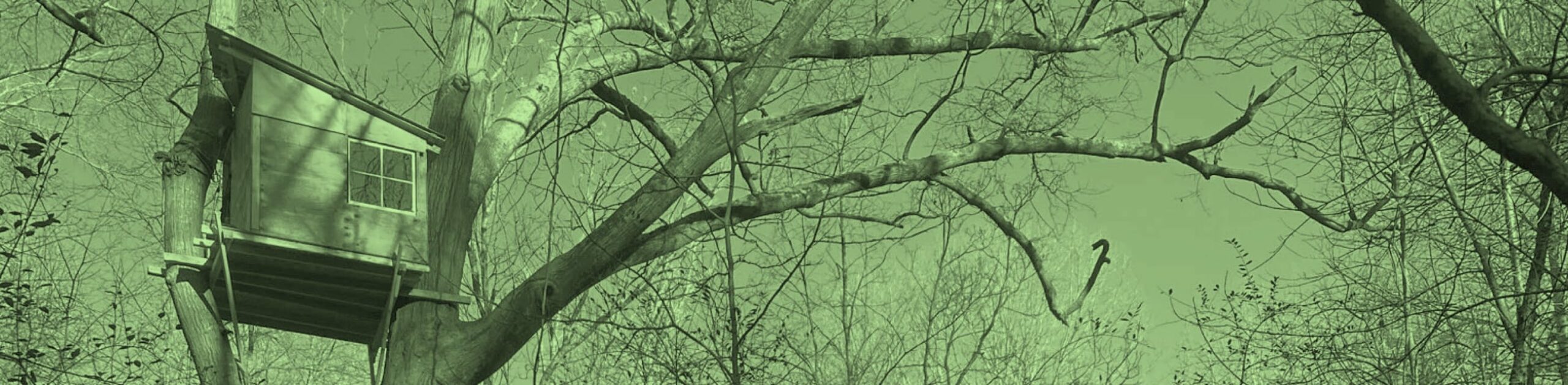 A green-tinted monochromatic photo of a deciduous tree in winter with a small wooden treehouse perched among its branches.